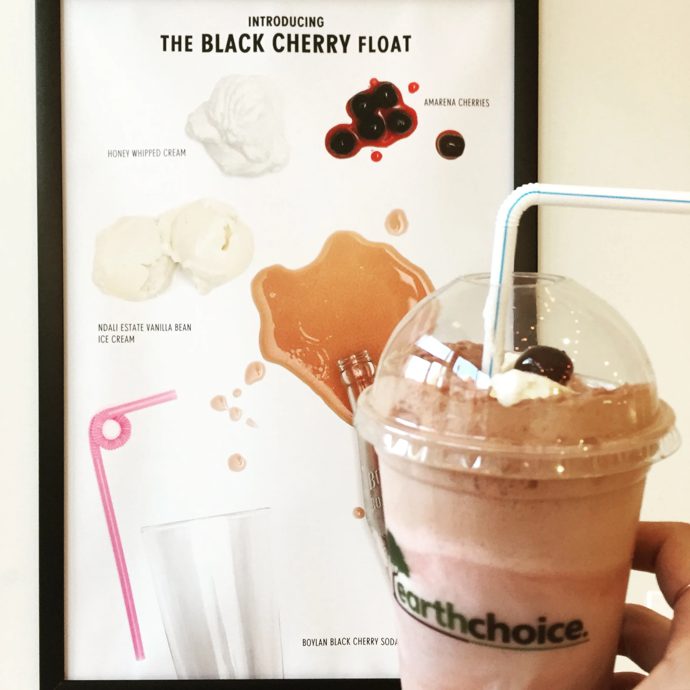 Boylan's Black Cherry Float