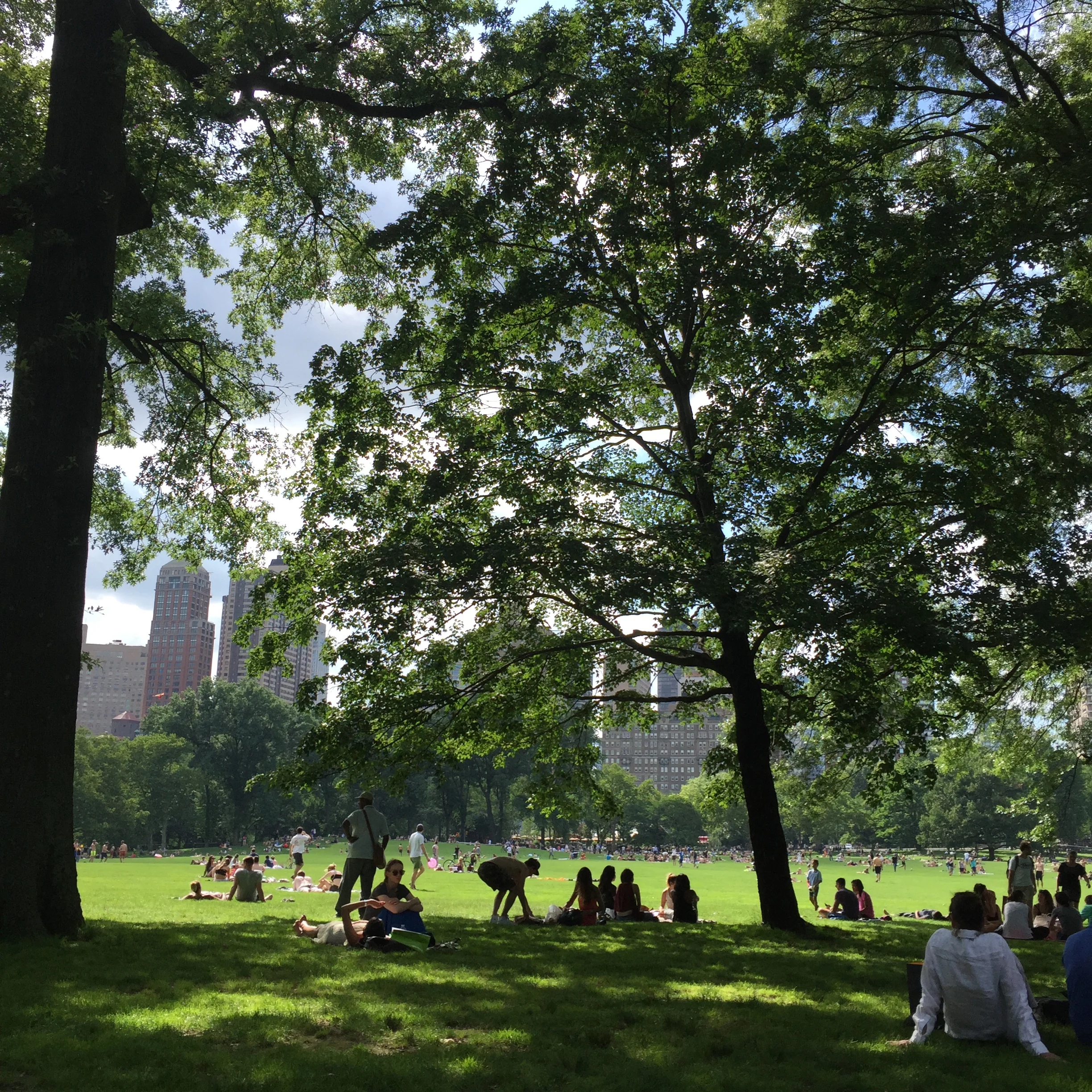 Pit stop in Central Park.