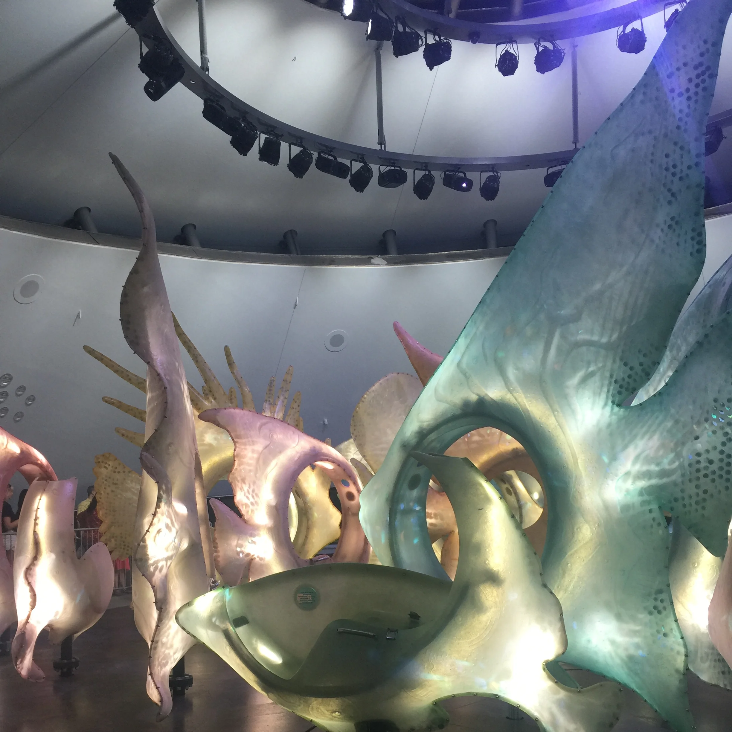 Seaglass Carousel @ Battery Park.