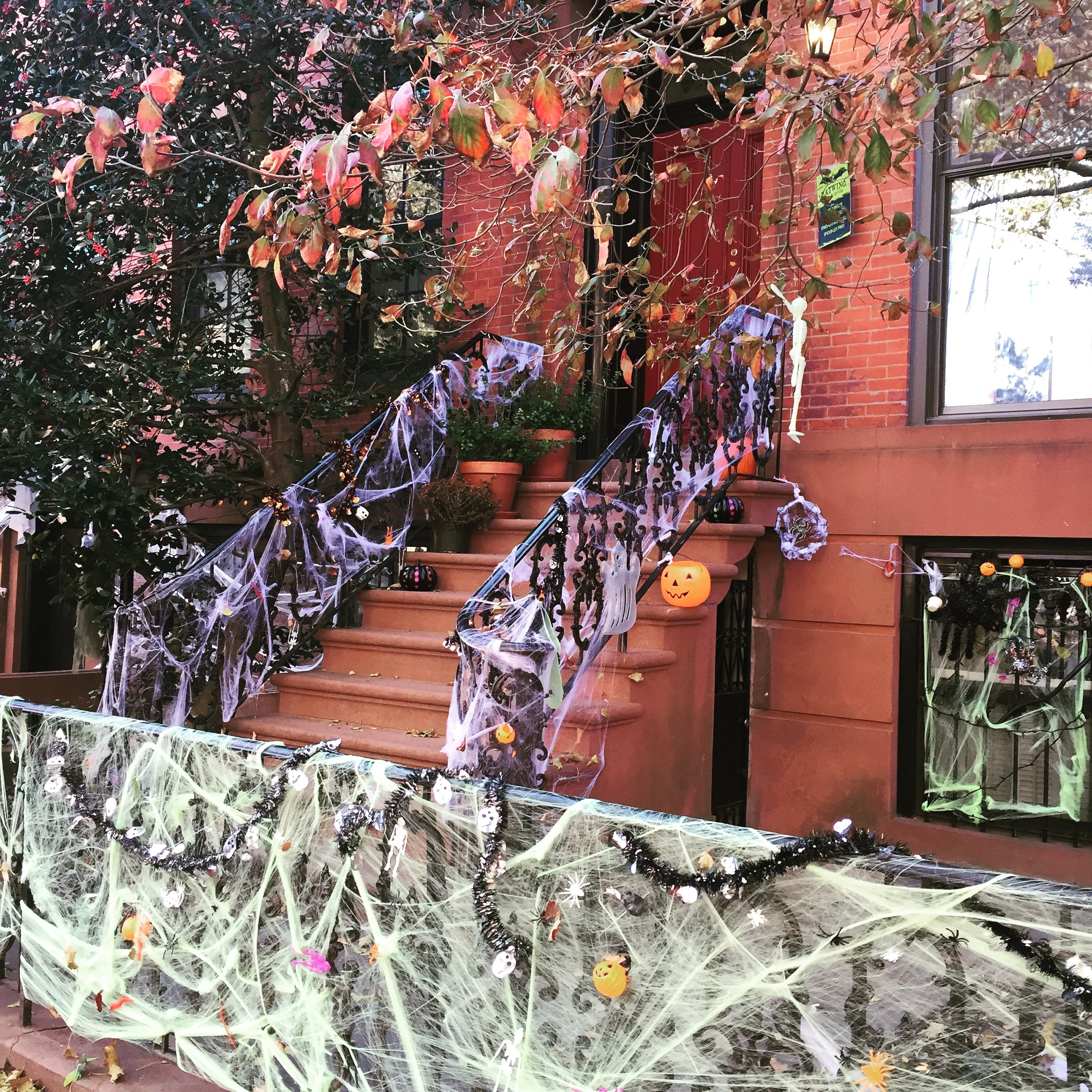 Halloween in Full Force!