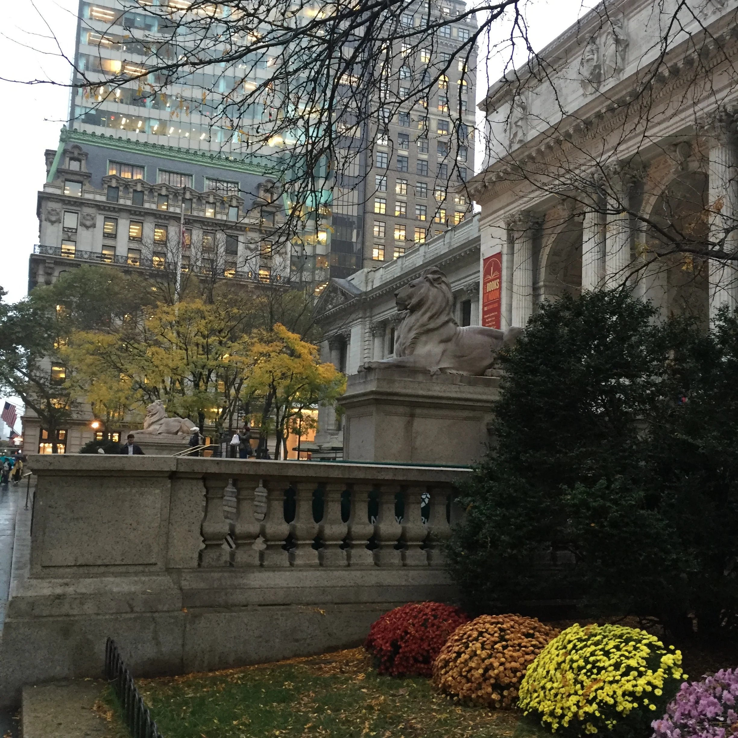 Fall Flowers at the NYPL.