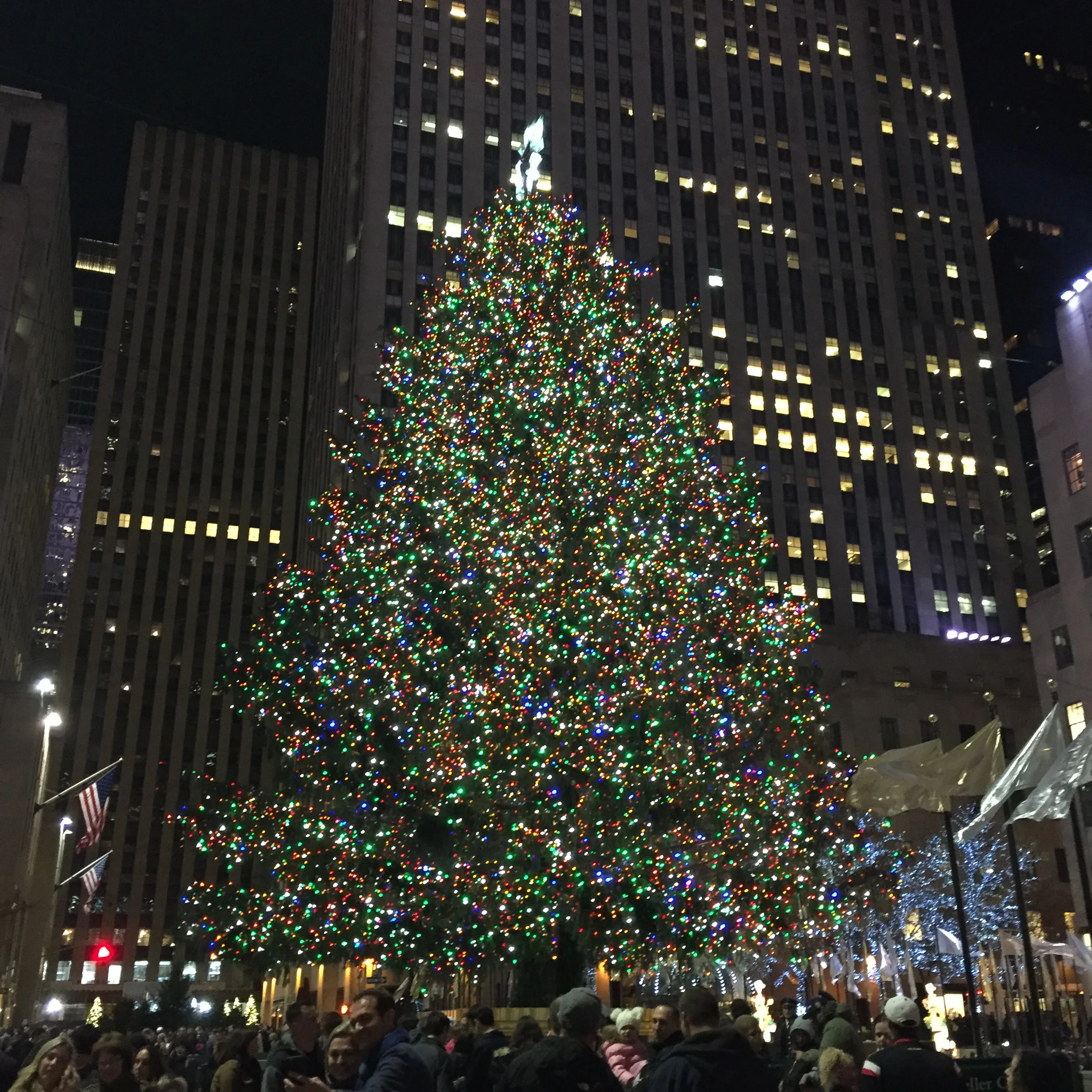 The Rockefeller Center Christmas Tree.