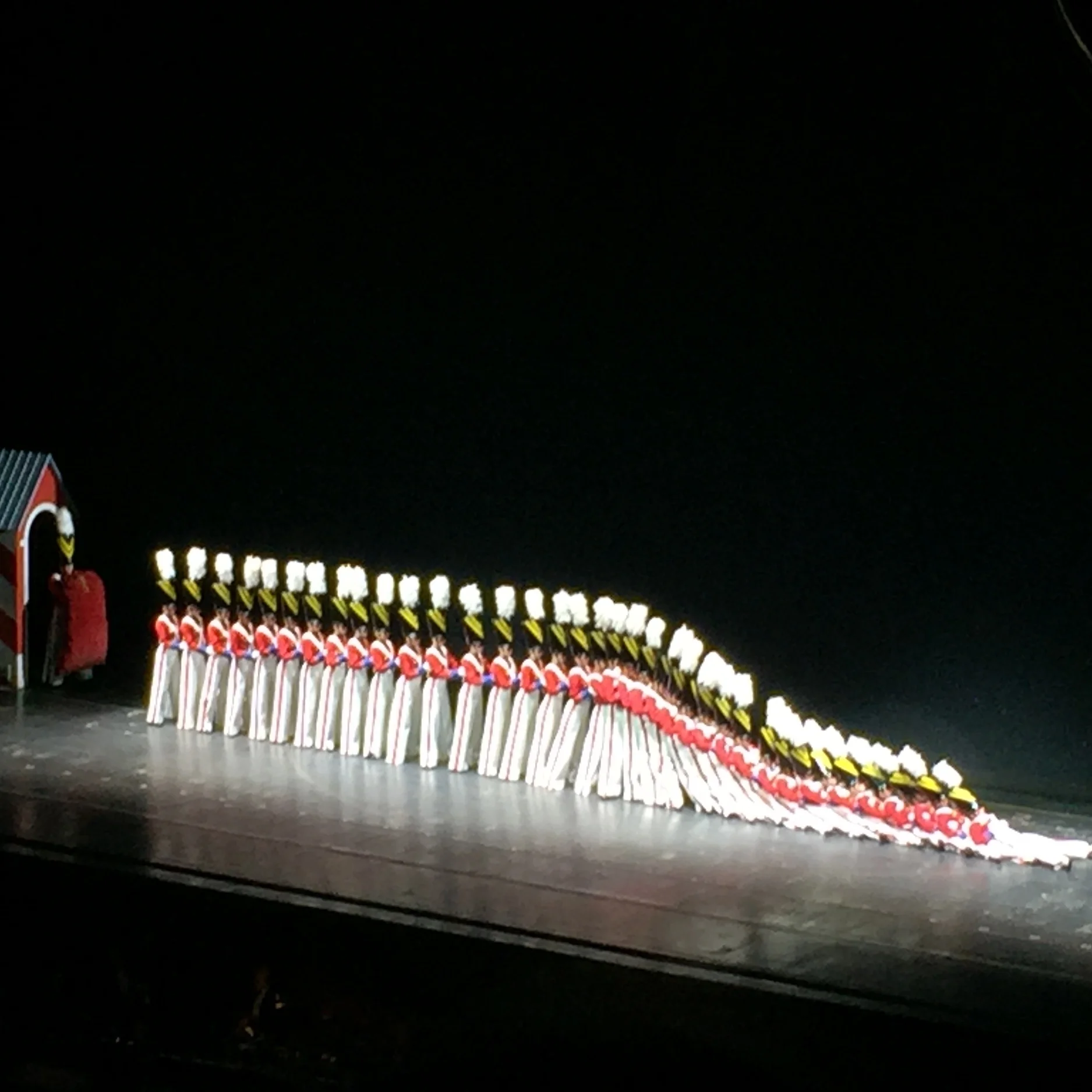 Radio City Christmas Spectacular!