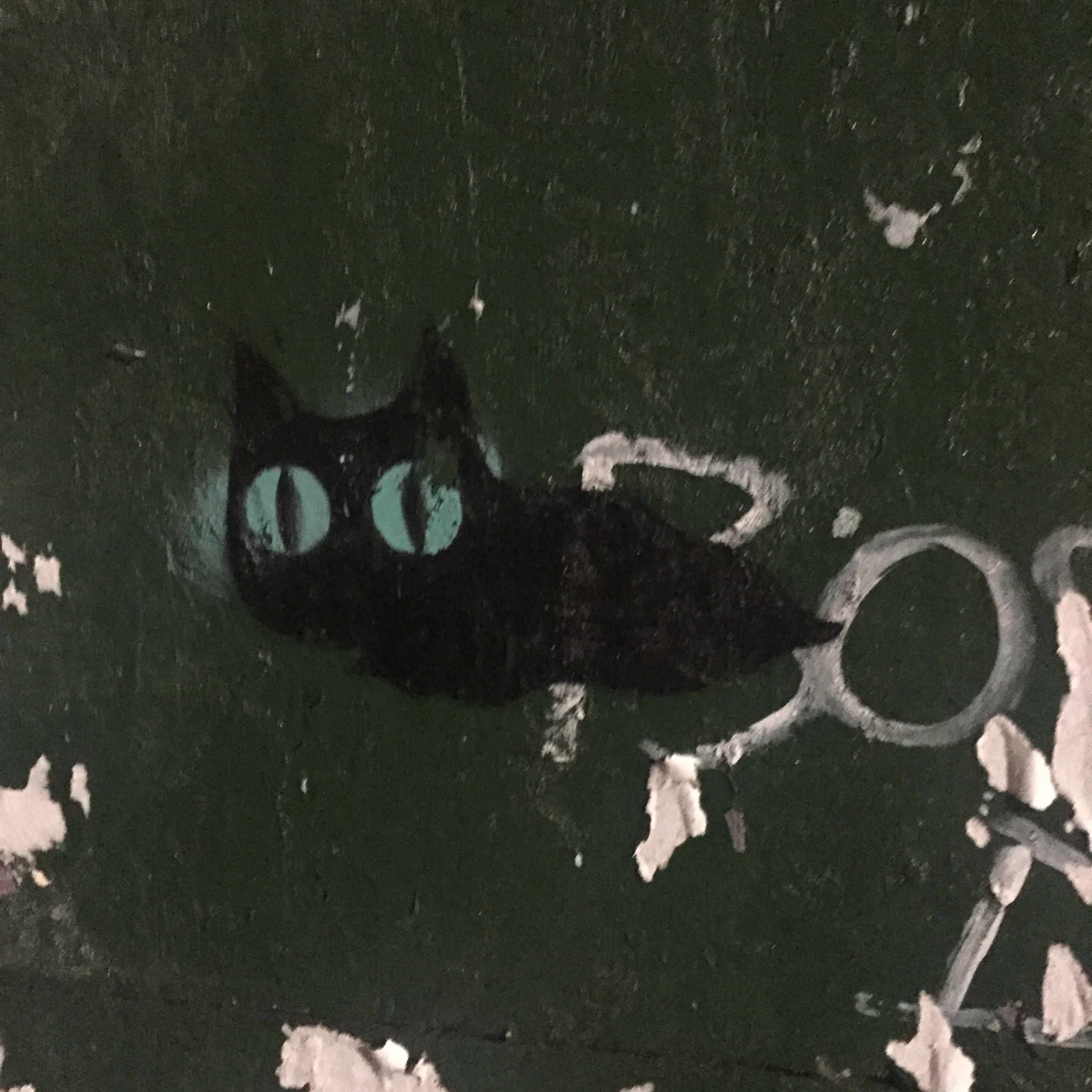 Ghost Cat.