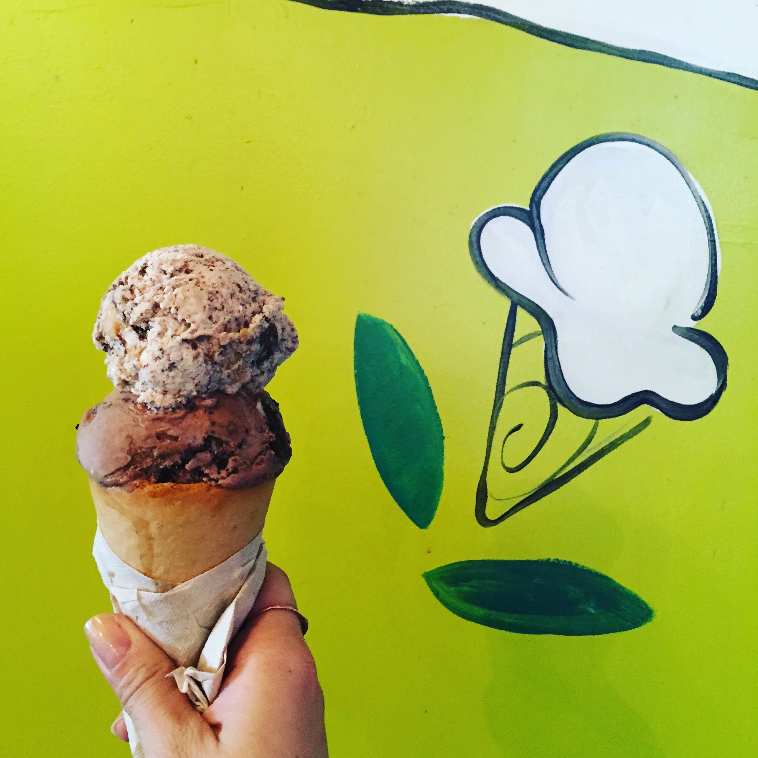 Ample Hills Ice Creamery!