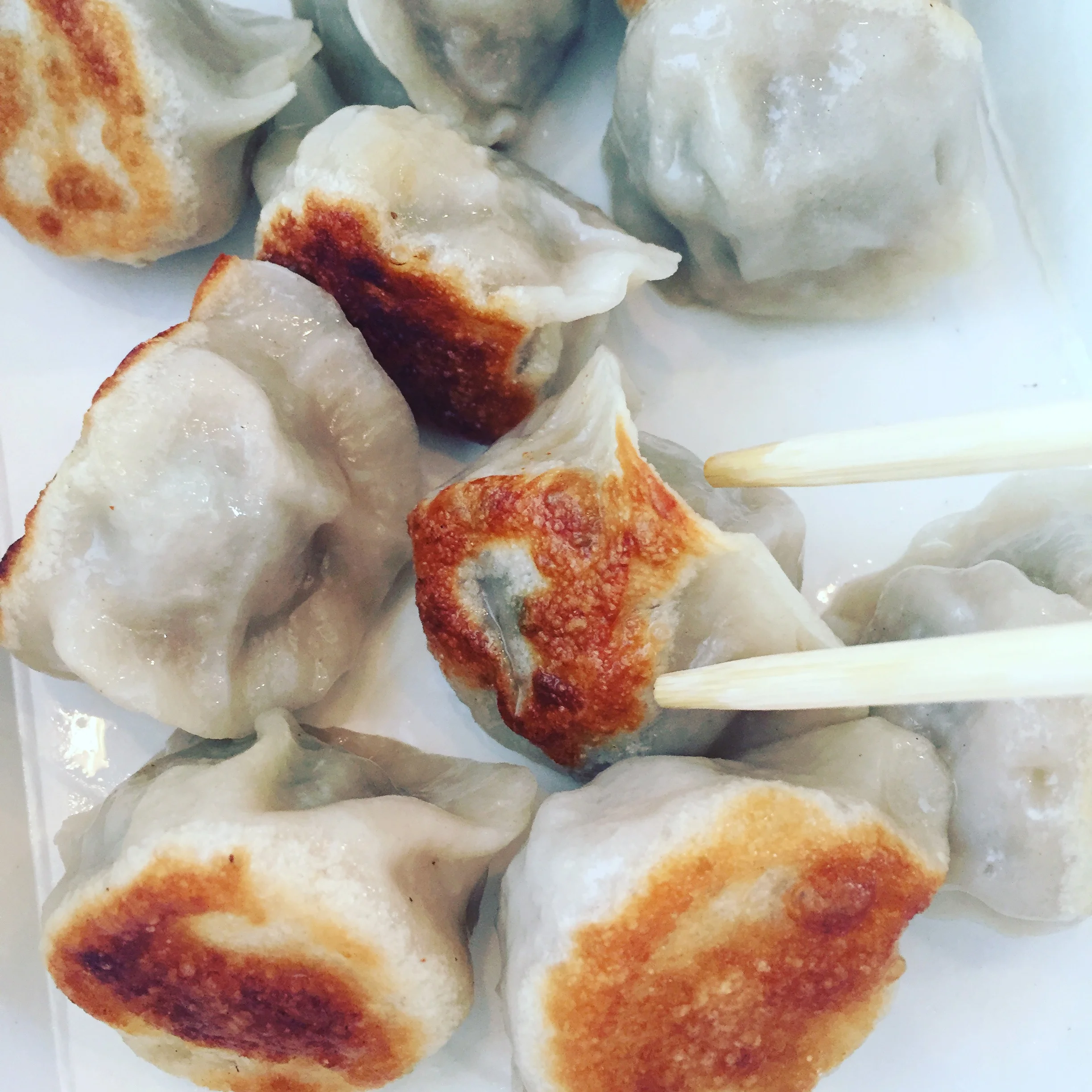 Northern Tiger Dumplings.