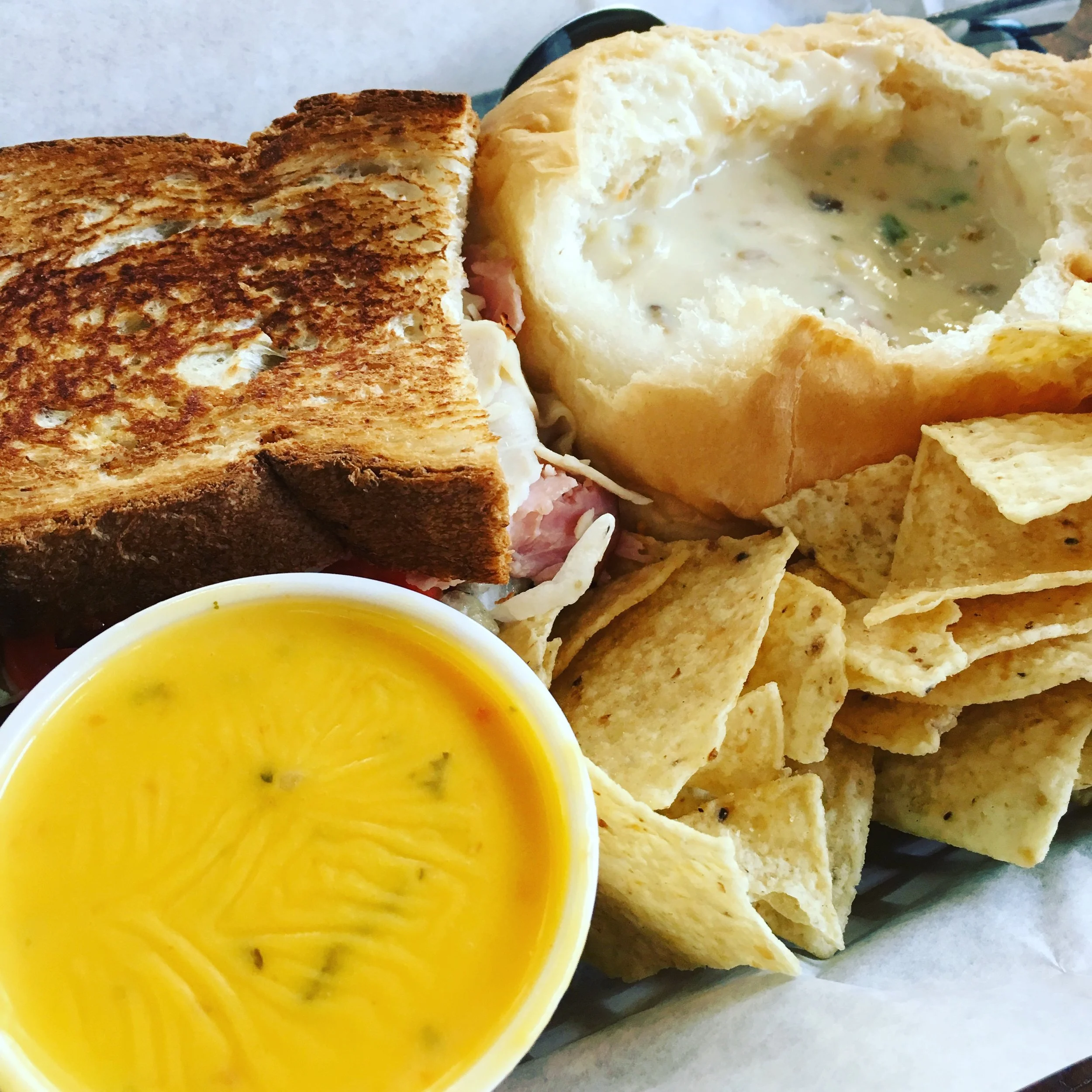 The upside to a cancelled flight? Bison Witches!