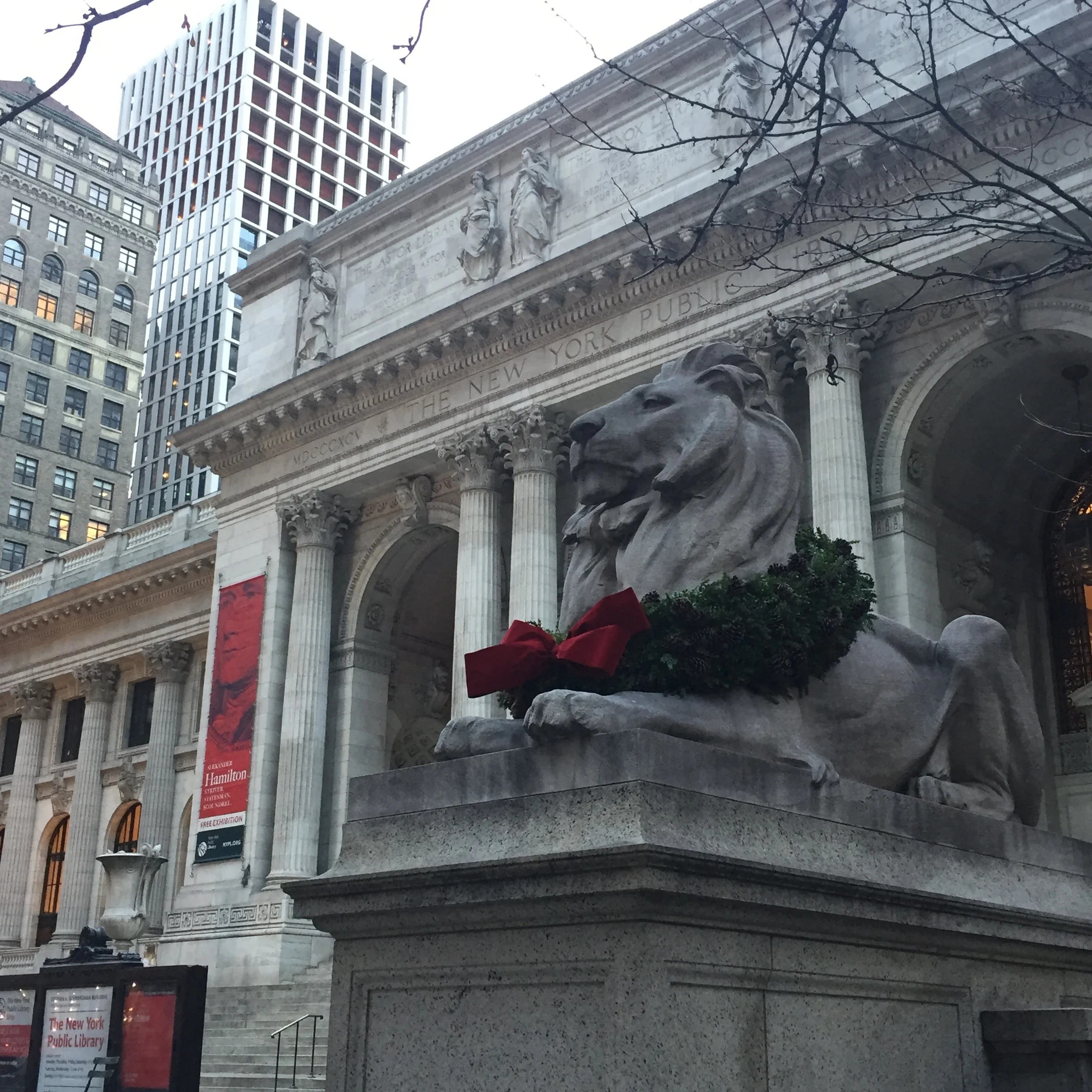 Christmas Lions.