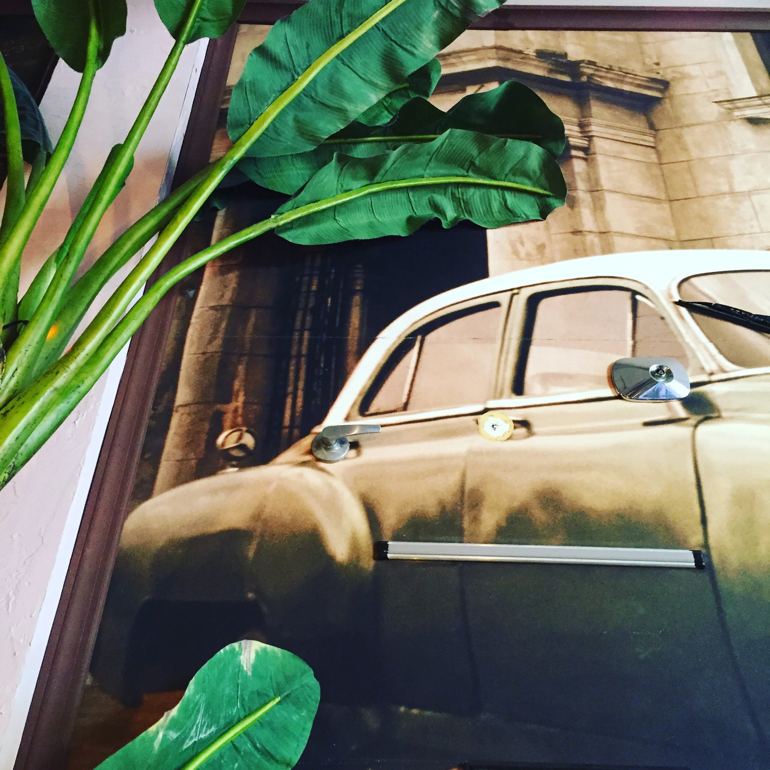 A little summer in Havana.