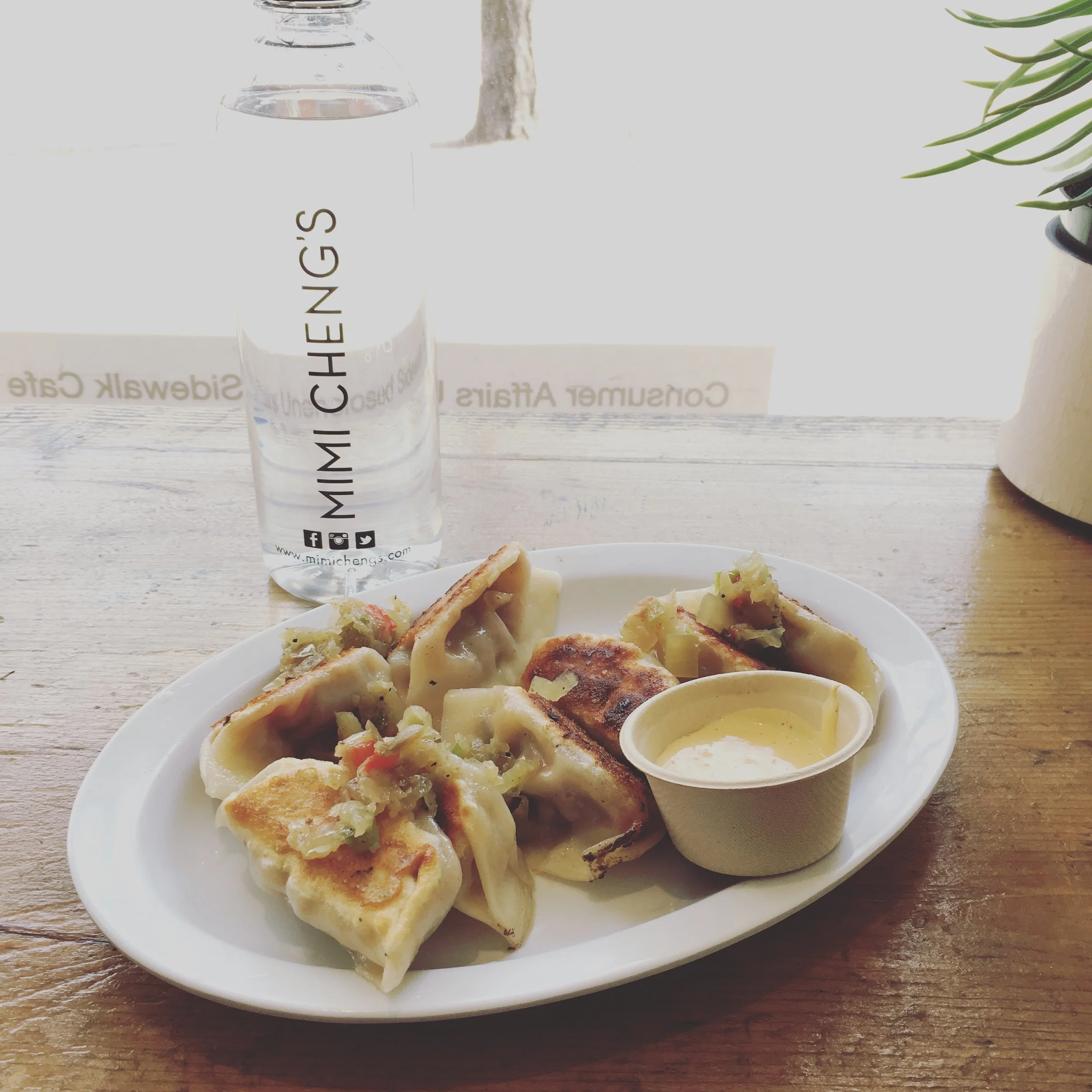 Philly Cheesesteak Dumplings!