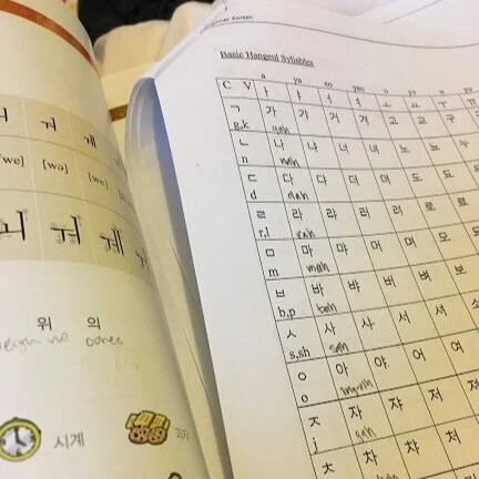 Let the Korean lessons begin!