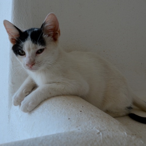 DSC_0228.jpg