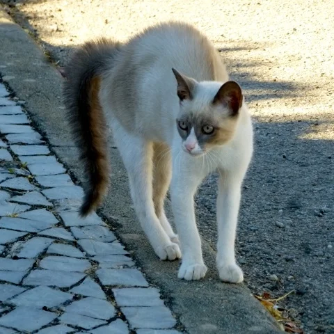 P1100481.jpg