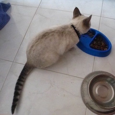 P1120380.jpeg