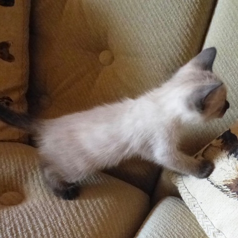 P1120834.jpeg
