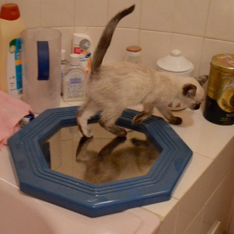 DSC_0793.jpeg