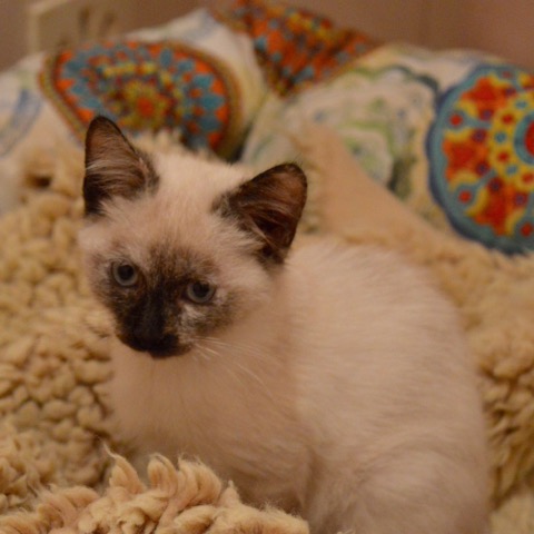 DSC_0797.jpeg
