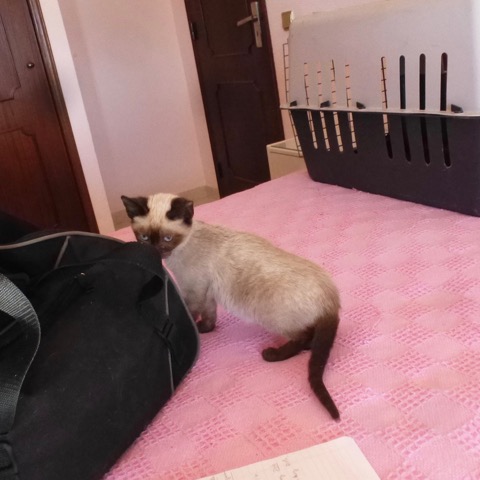 P1130719.jpeg