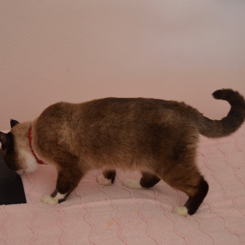 DSC_0073.jpeg