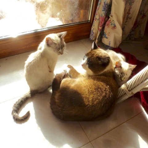 P1130713.jpeg
