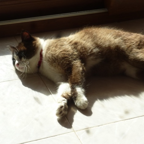 P1130697.jpeg