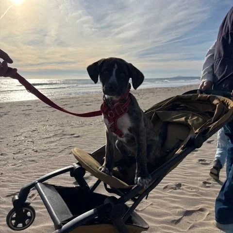 IMG_2327.jpg