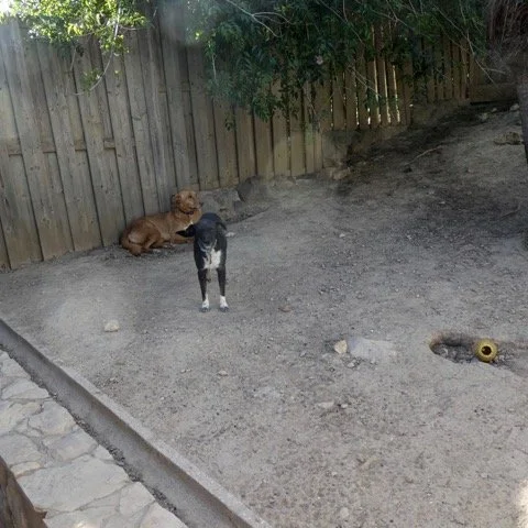 P1020741.jpeg
