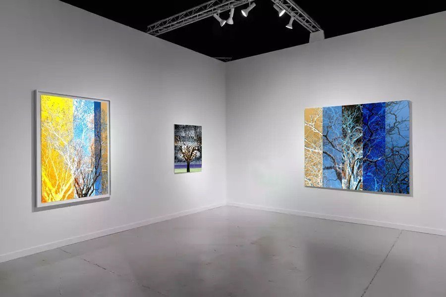 Arboreal installation view