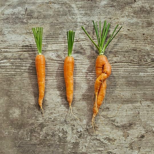 Coop engagiert sich gegen Foodwaste mit Ünique. Unter dieser Marke gelangen ansonsten unverkäufliche Gemüse in den Handel.