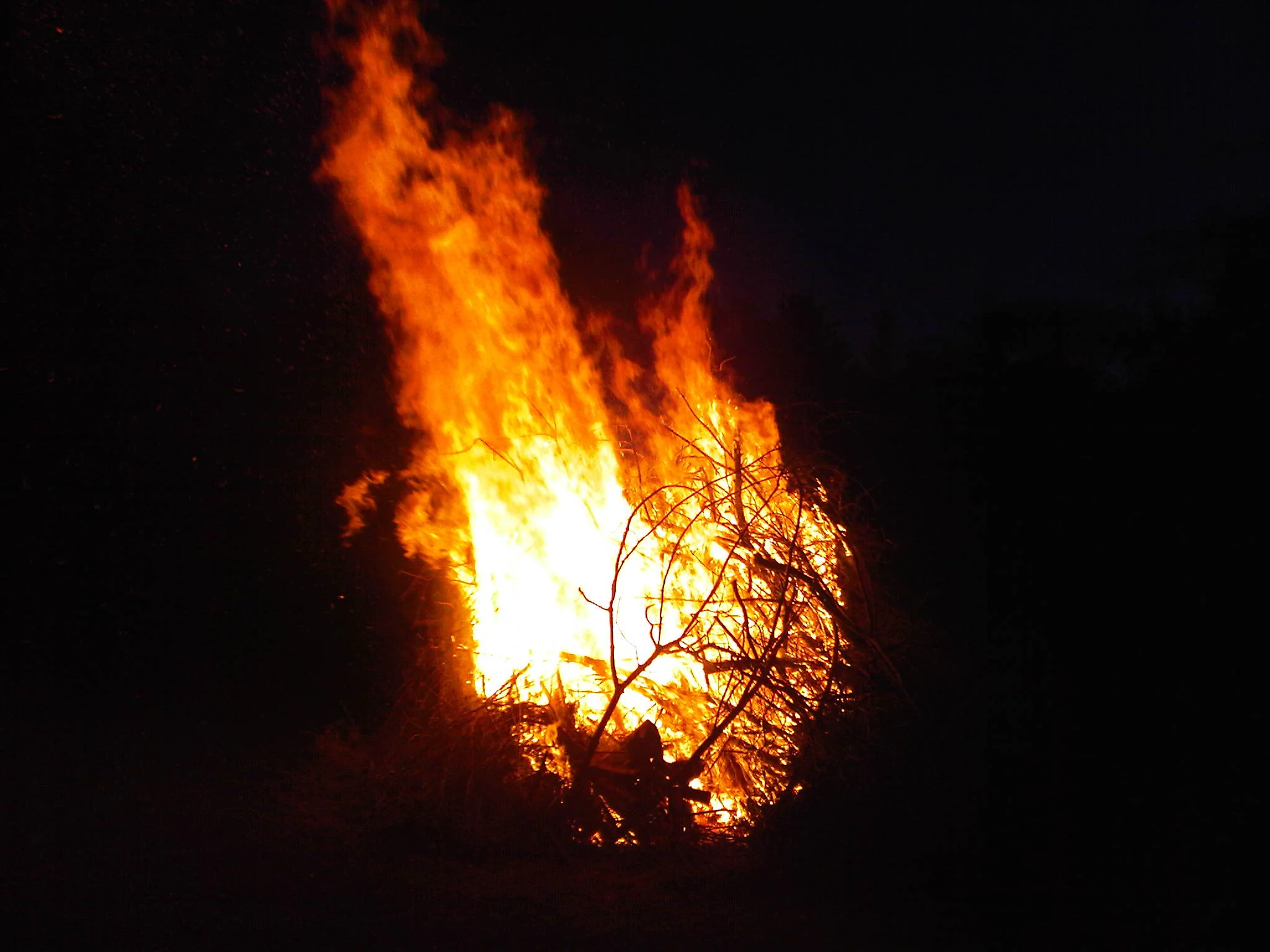 IMG00112-20101009-1838.jpg