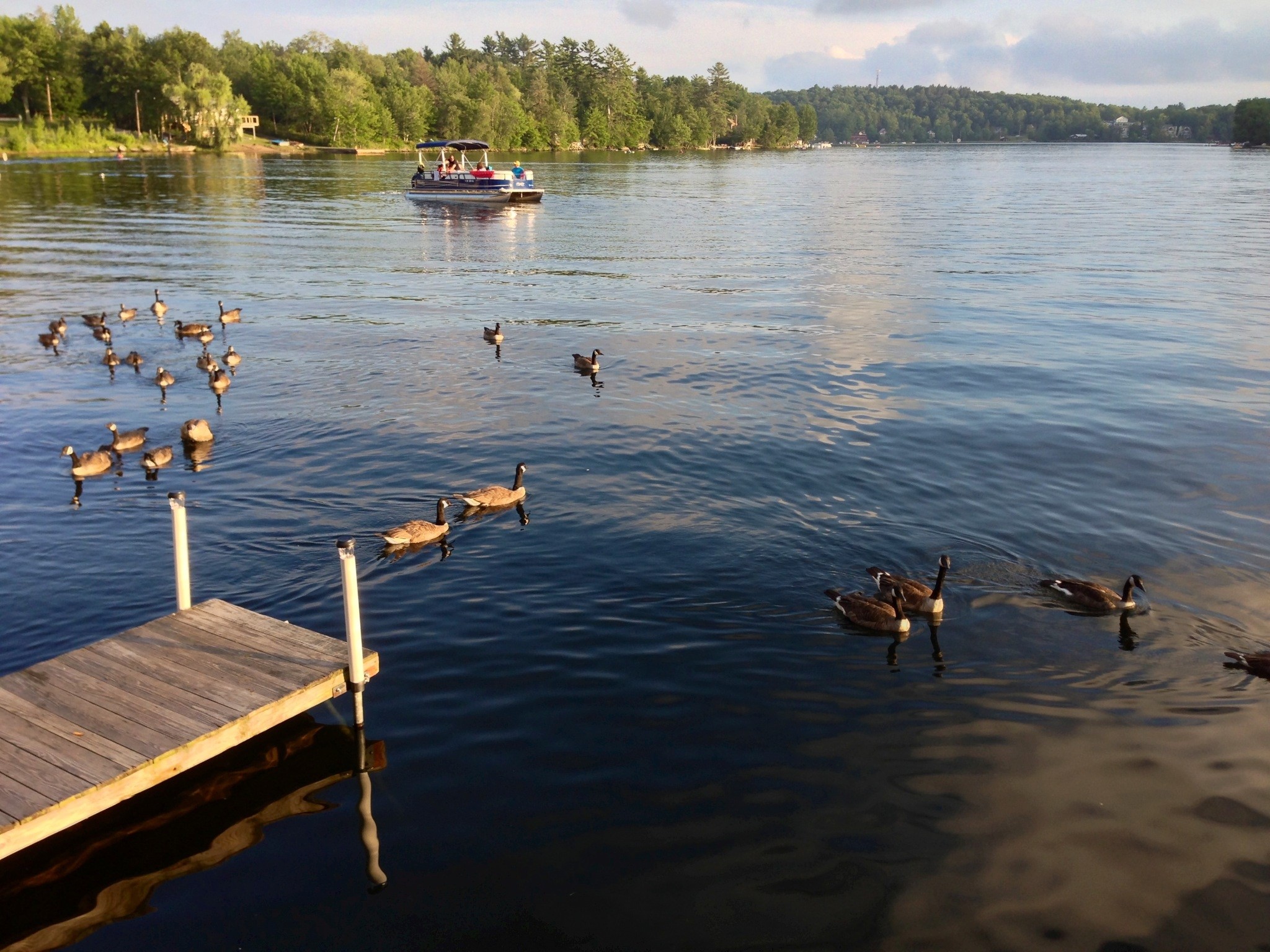 WHERE TO EAT: The Fat Lady Cafe in Kauneonga Lake, NY