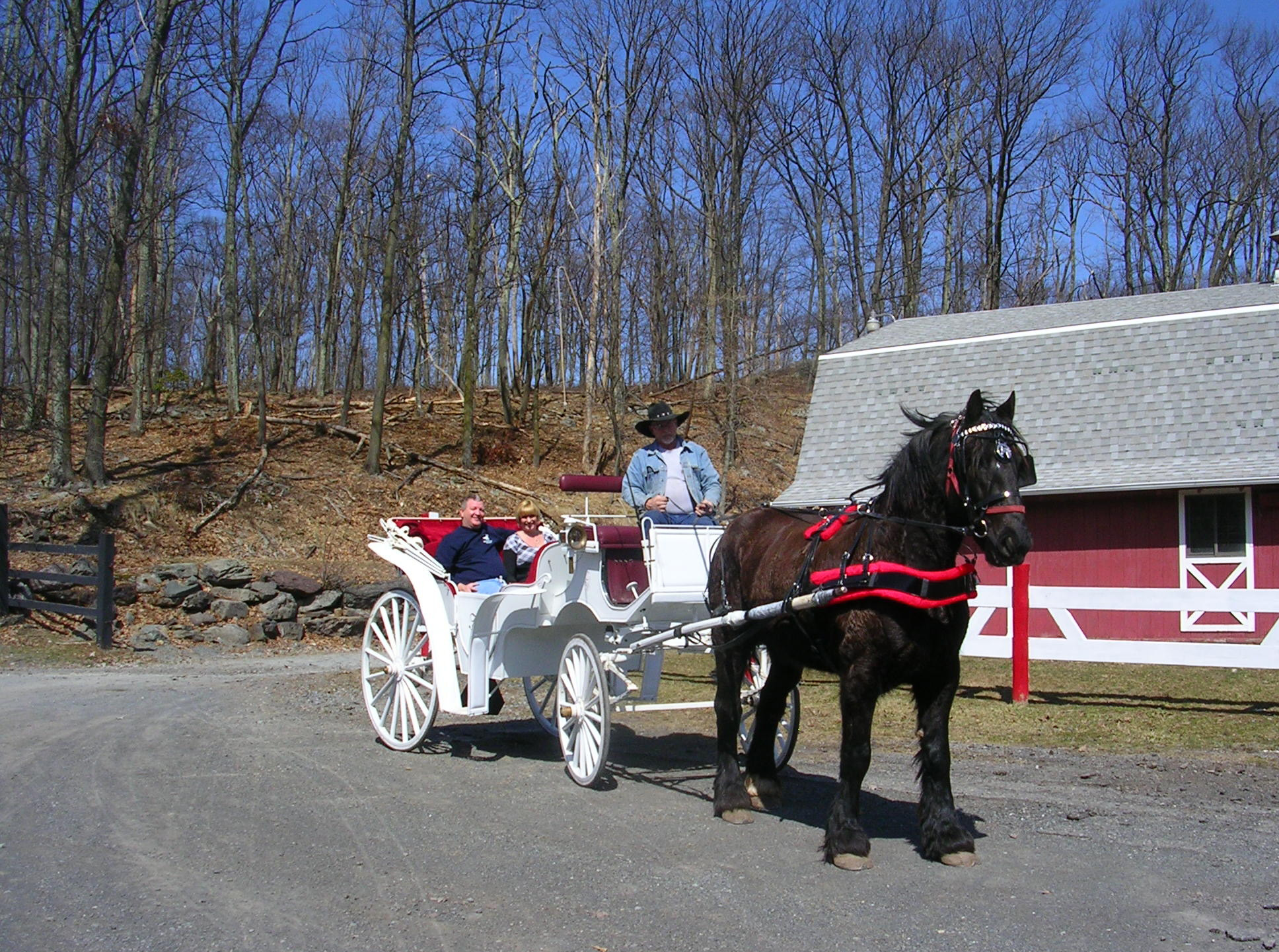 HORSES: Happy Trails & Riding Center in Lake Ariel, PA