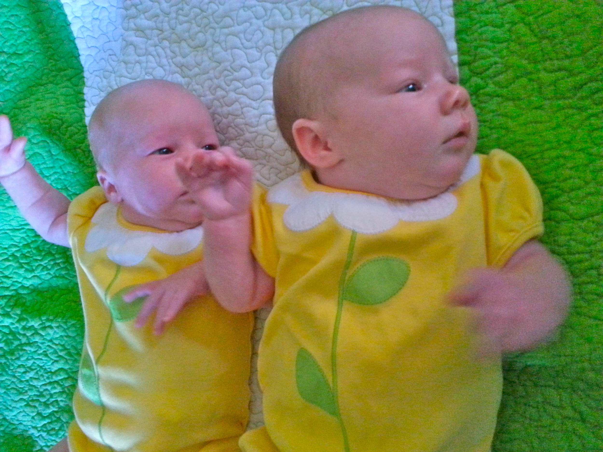 Girls 4 weeks yellow green.jpg