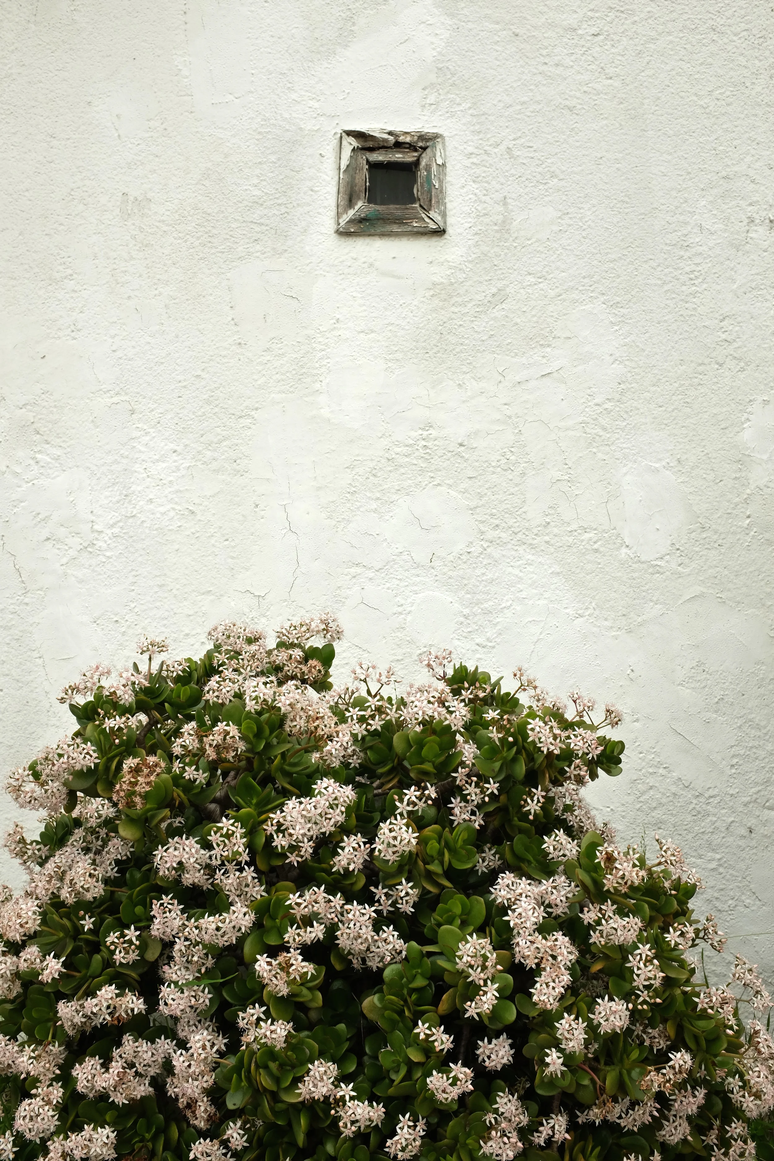 DSCF3157.jpg