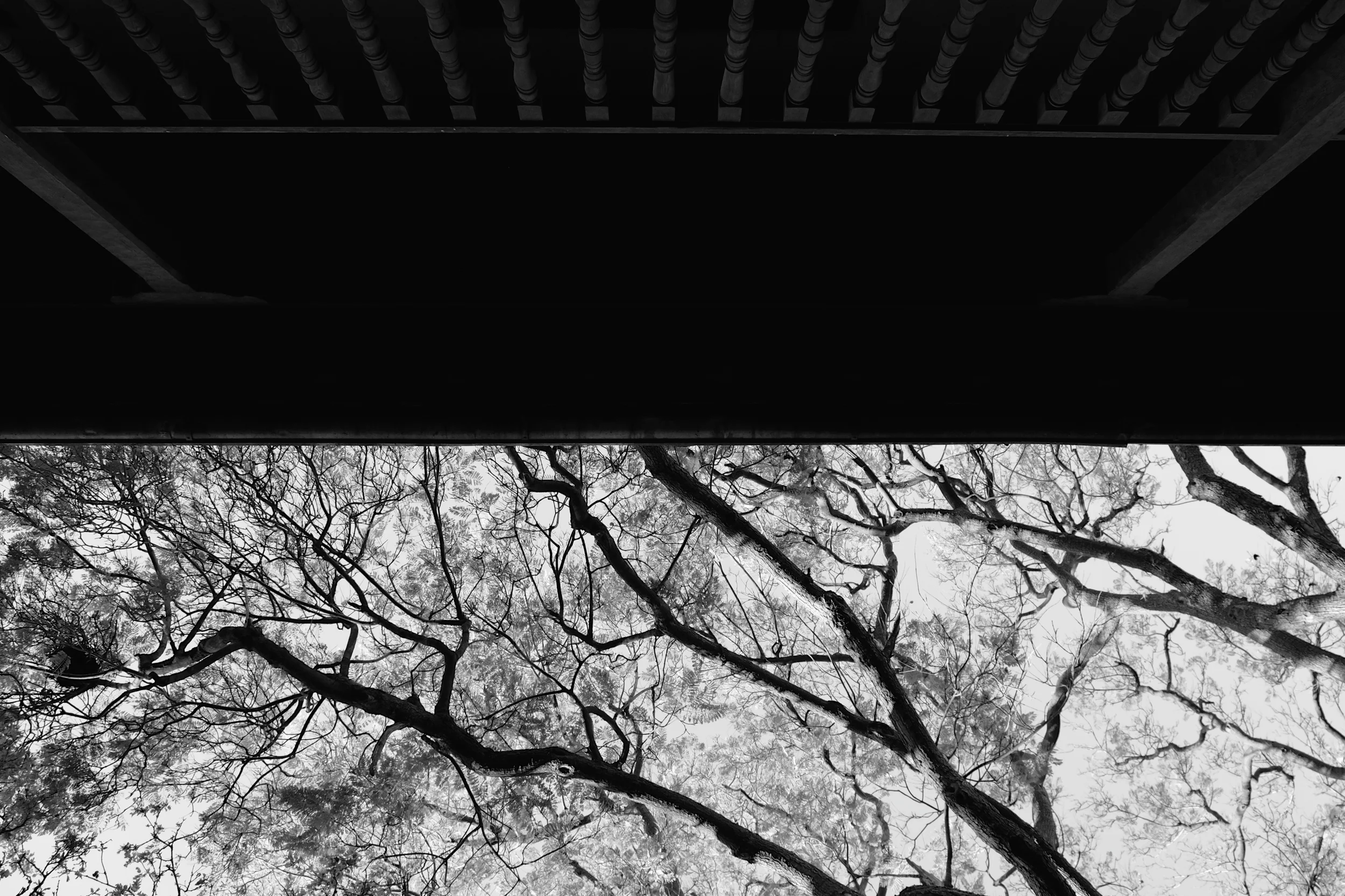 DSCF4396.jpg