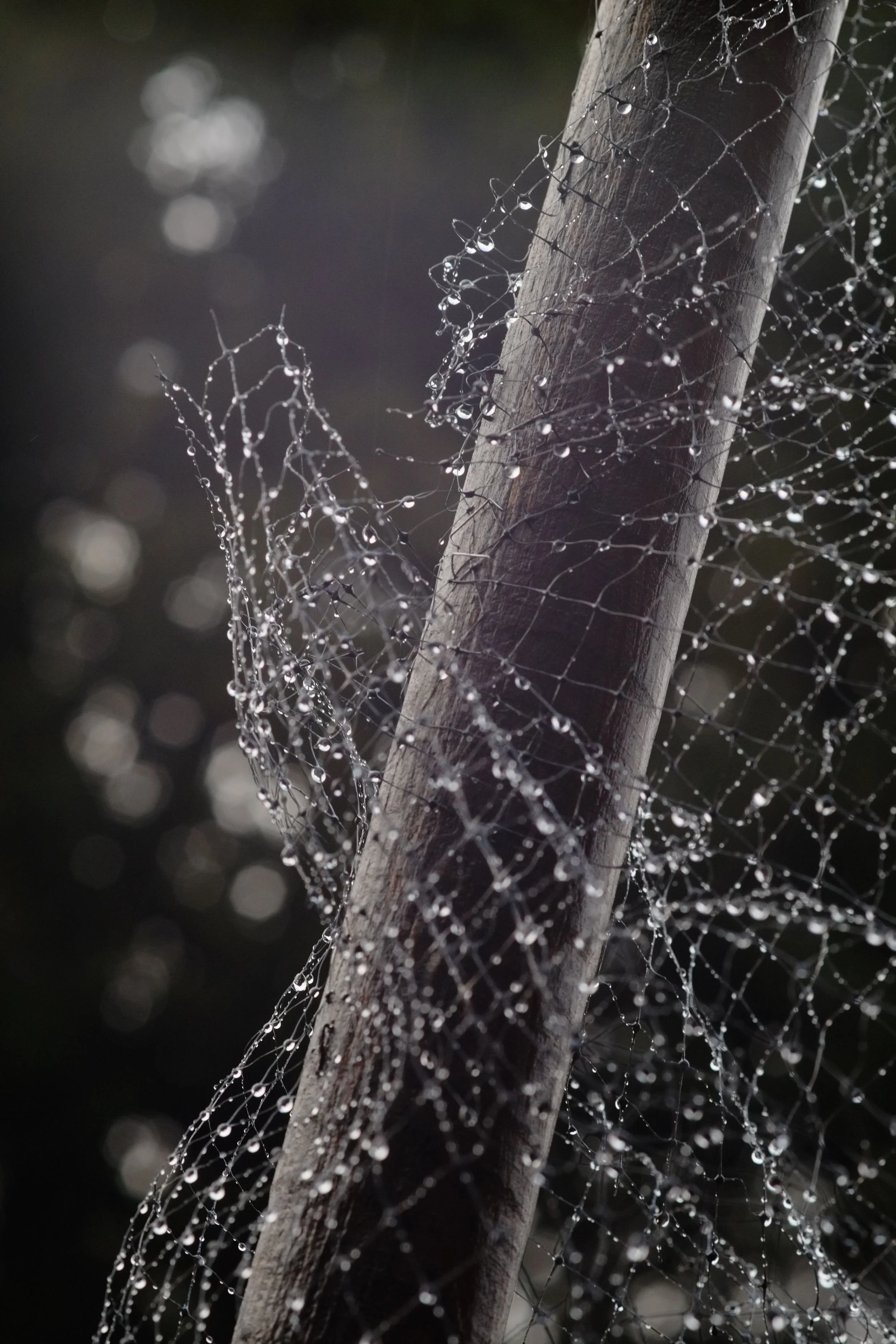 DSCF6881.jpg