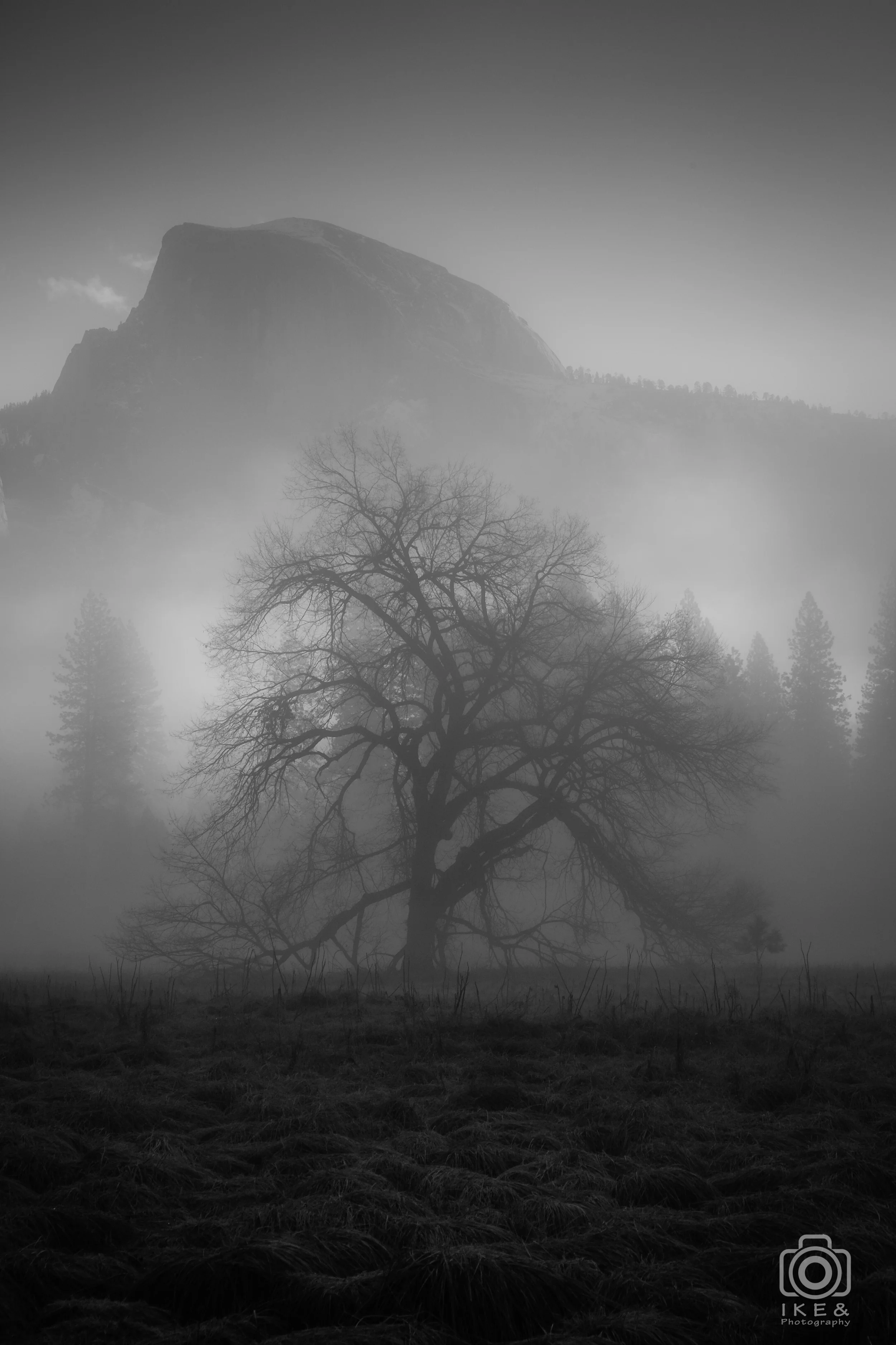 DSCF8661.jpg