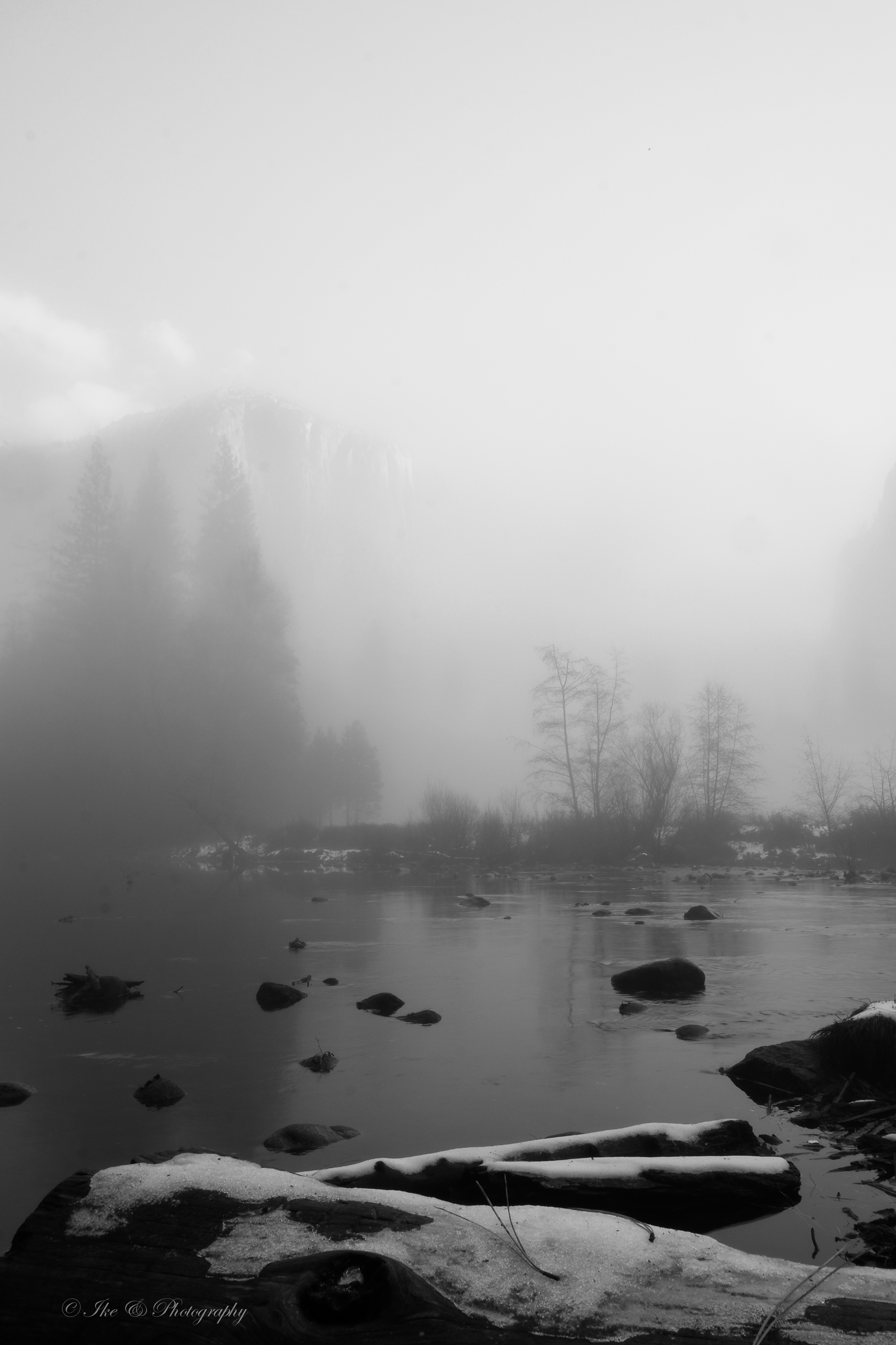 DSCF8684.jpg