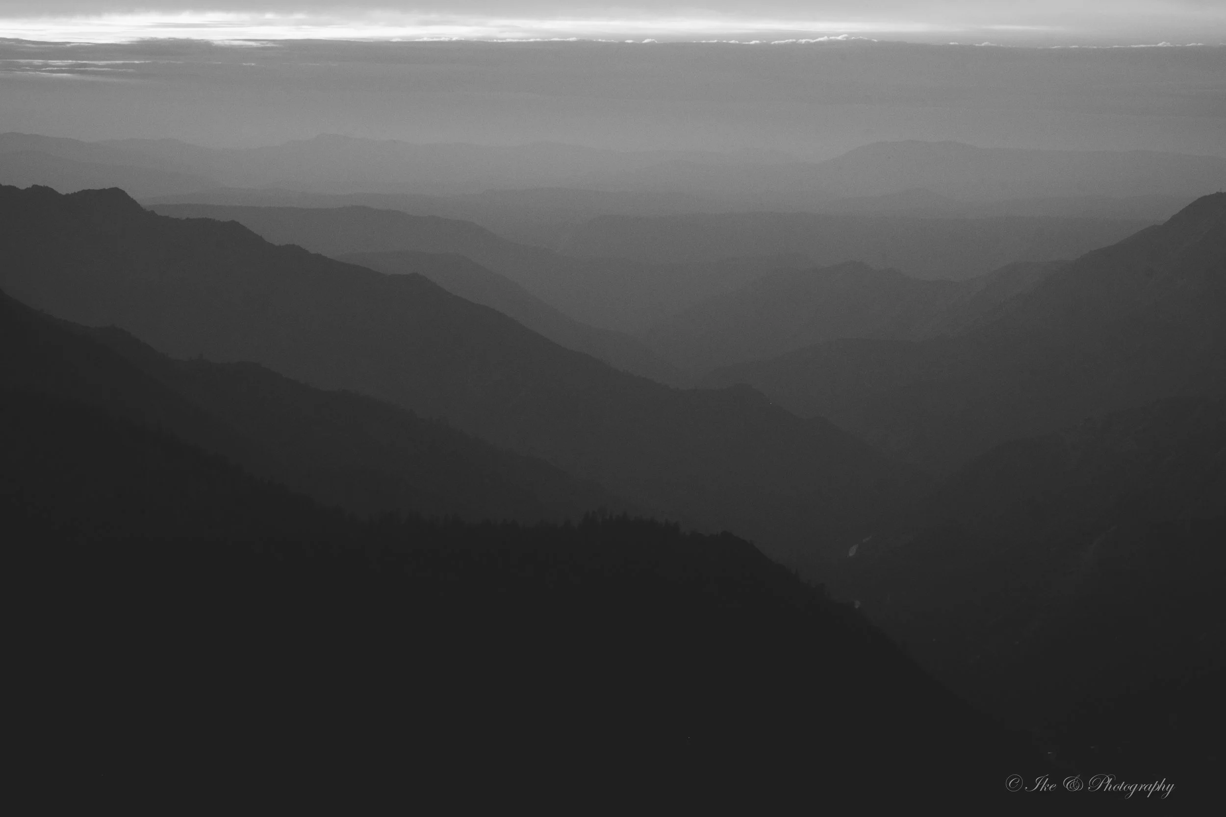DSCF1574.jpg
