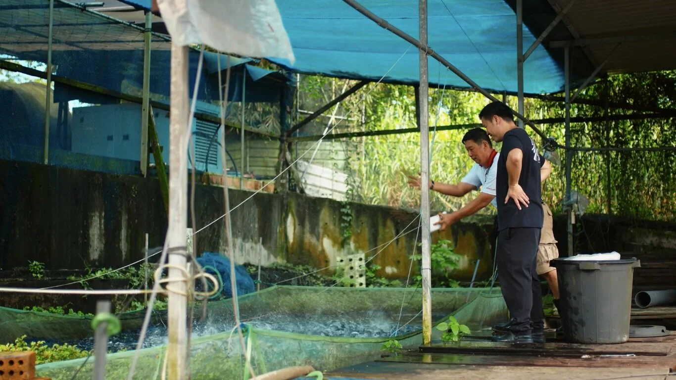 Singapore Food Agency - From Farm To Table: Michelin Star Chef Brings Local Produce To The Fore