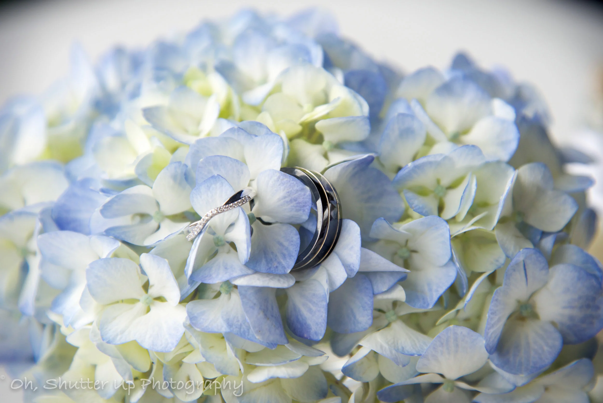 ISO800 120mm f/5 1/800
