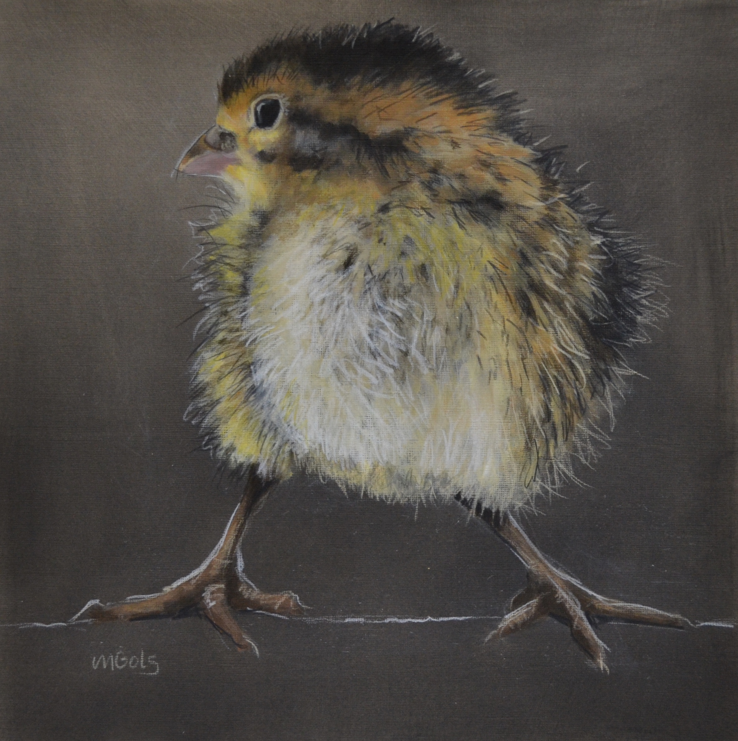 Birds And Other Wild Things — Jane Ingols Art
