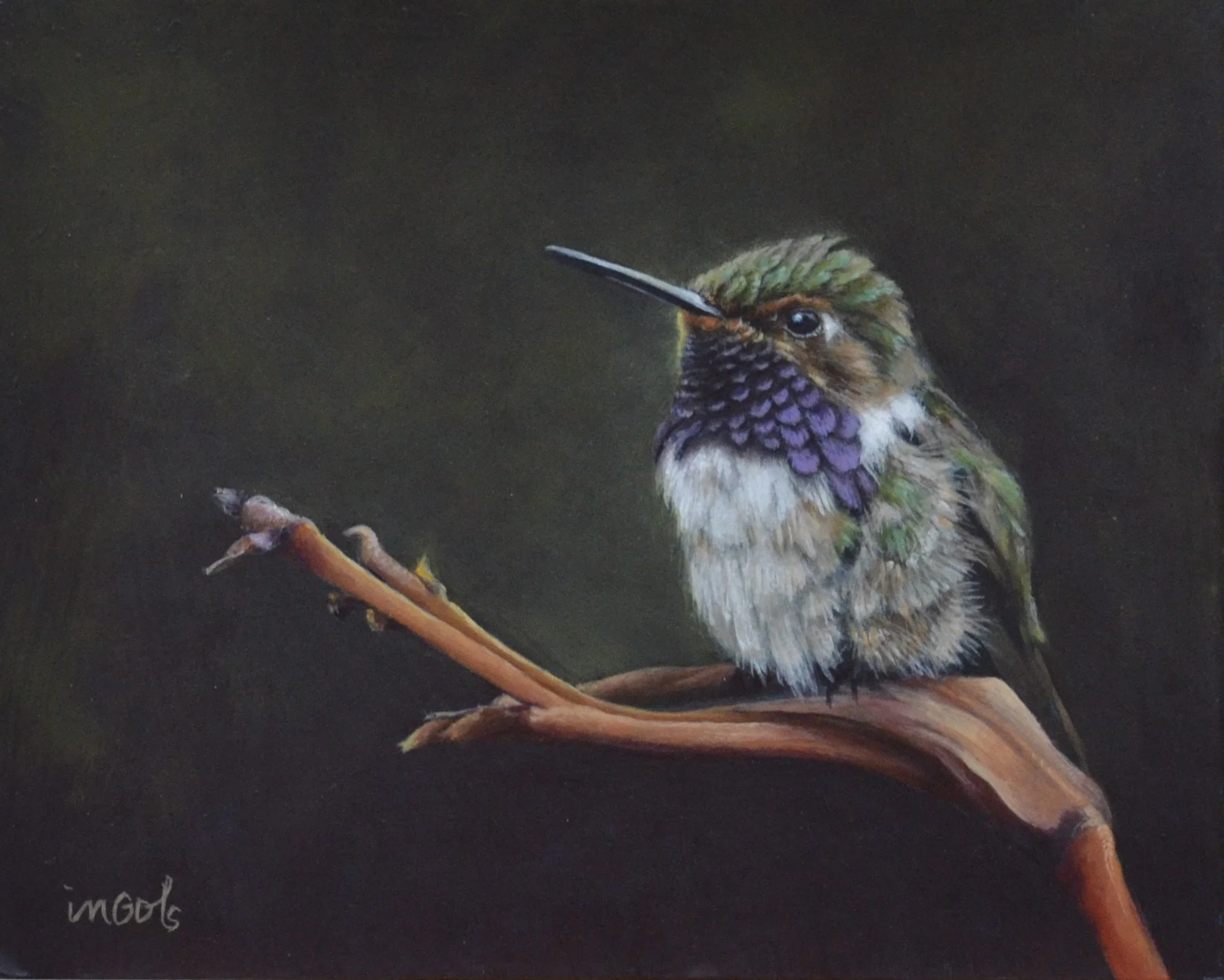 Volcano of Love, 8x10