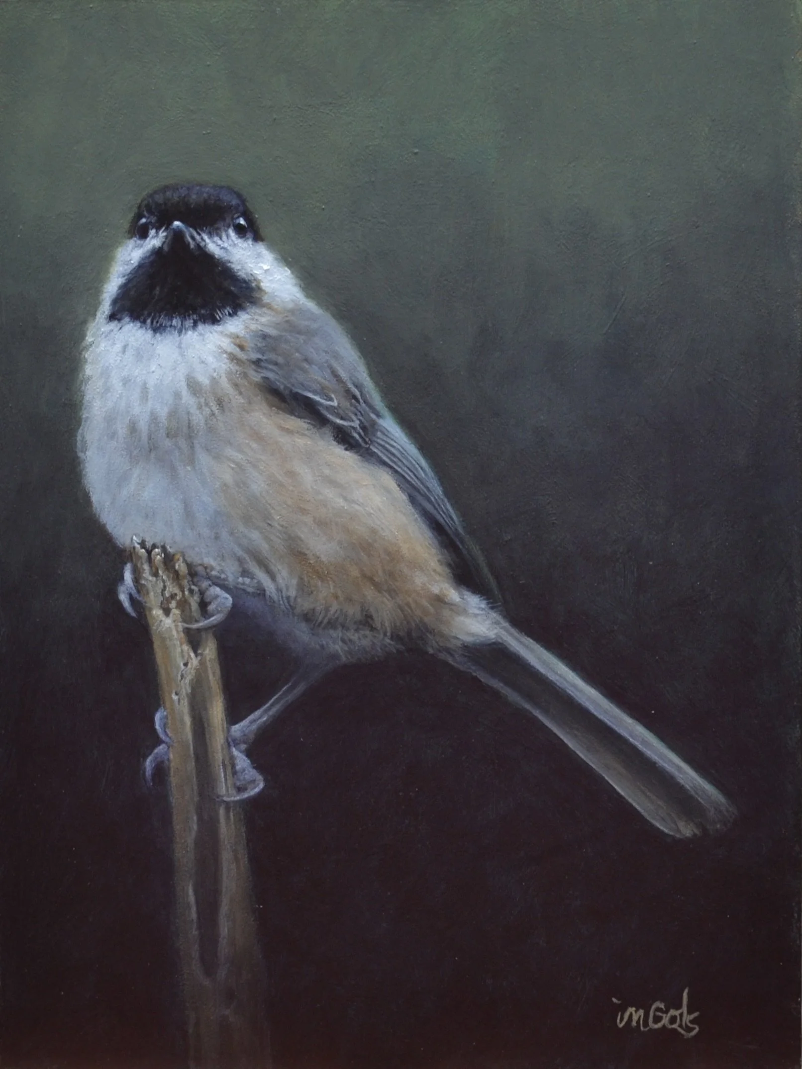 King Of The Chickadees, 12x9