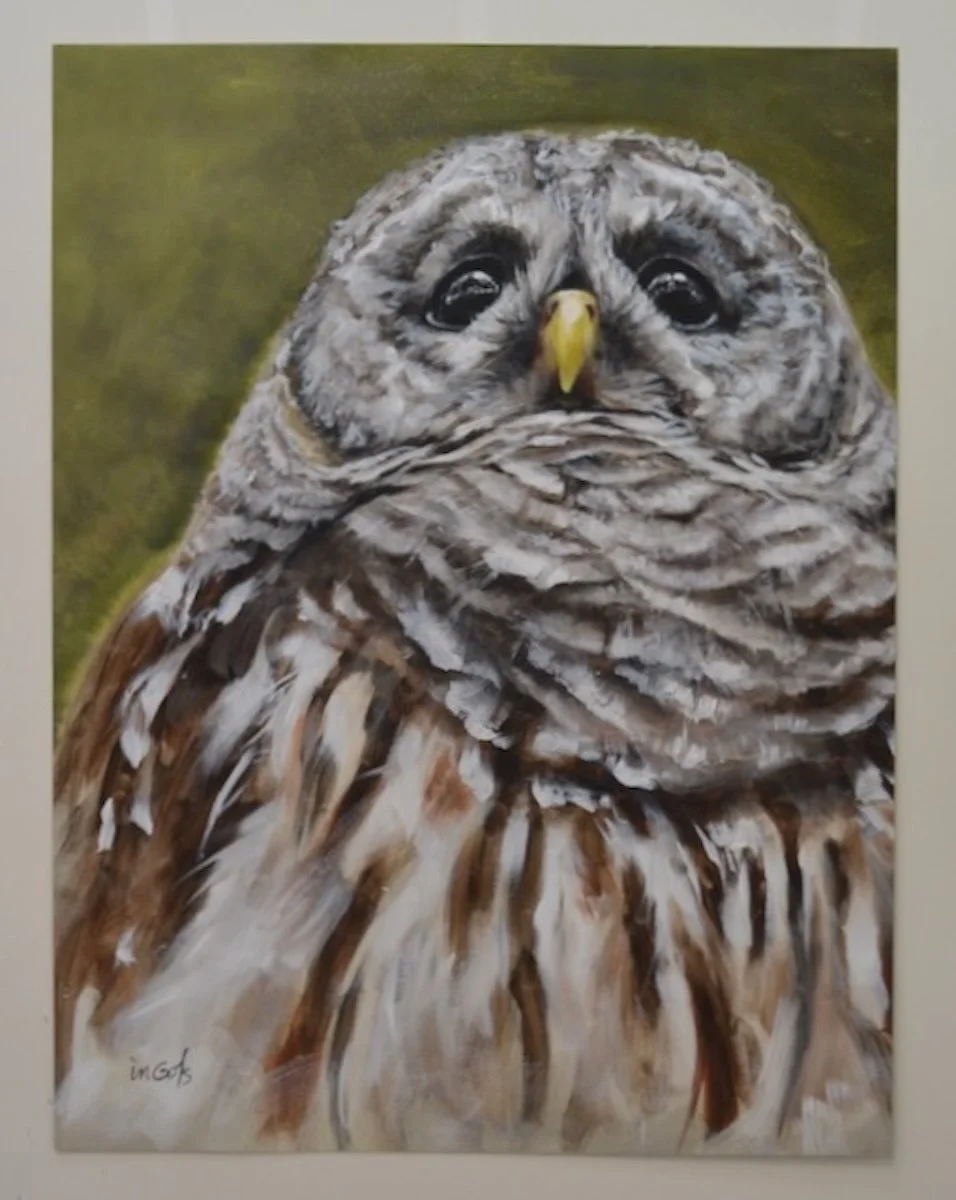 Vantage Point, 44.5x35 framed, Jane Ingols Art