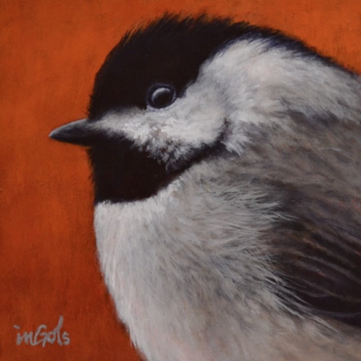 Black Capped Friend, 7.5x7.5 framed, Jane Ingols Art