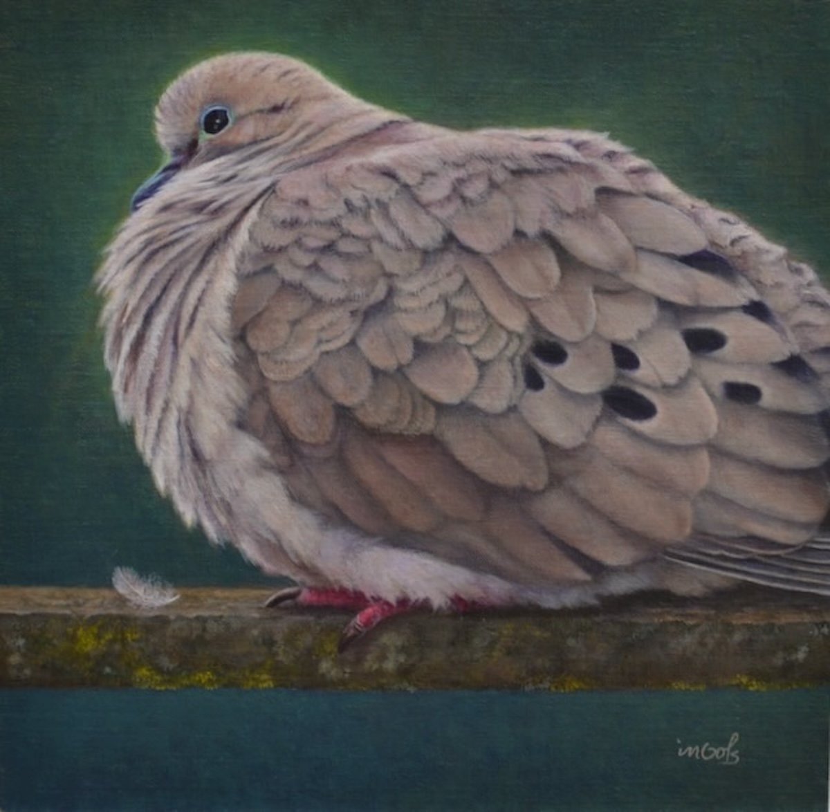 The Cooing Perch, 15x15 framed, NFS, Jane Ingols Art
