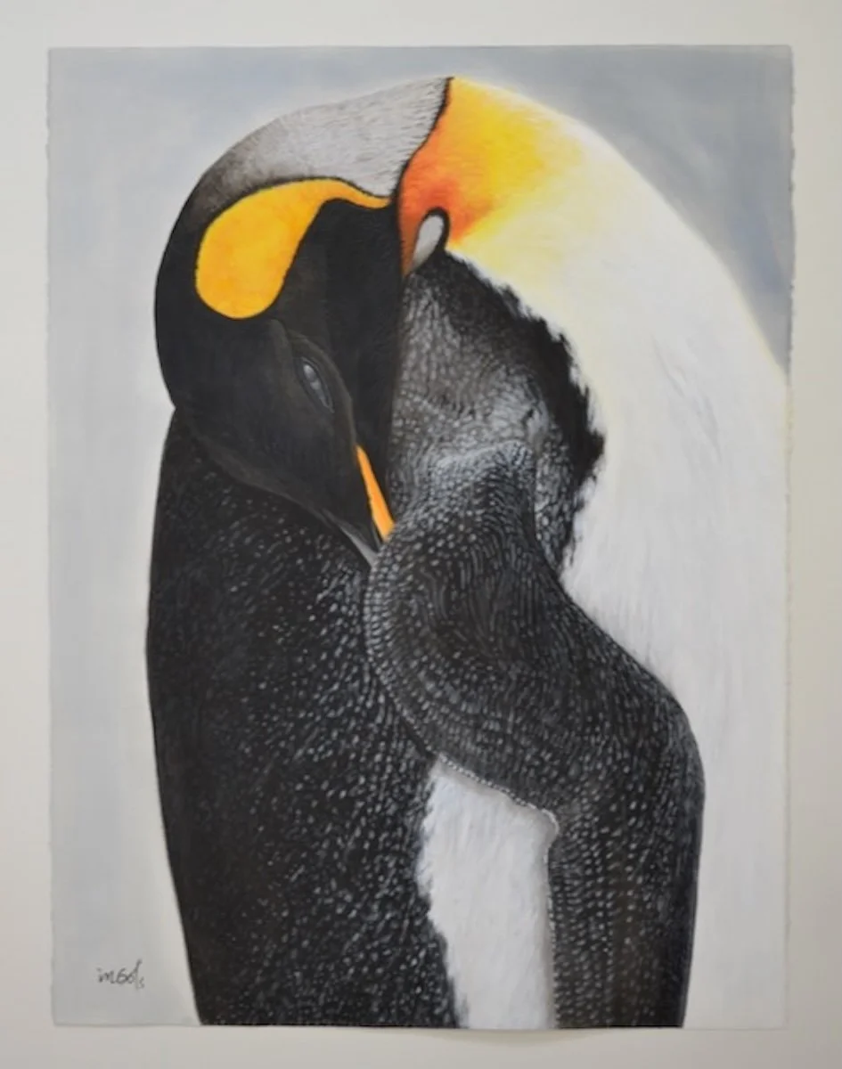 Forty Winks, 35x27.5 framed, Jane Ingols Art