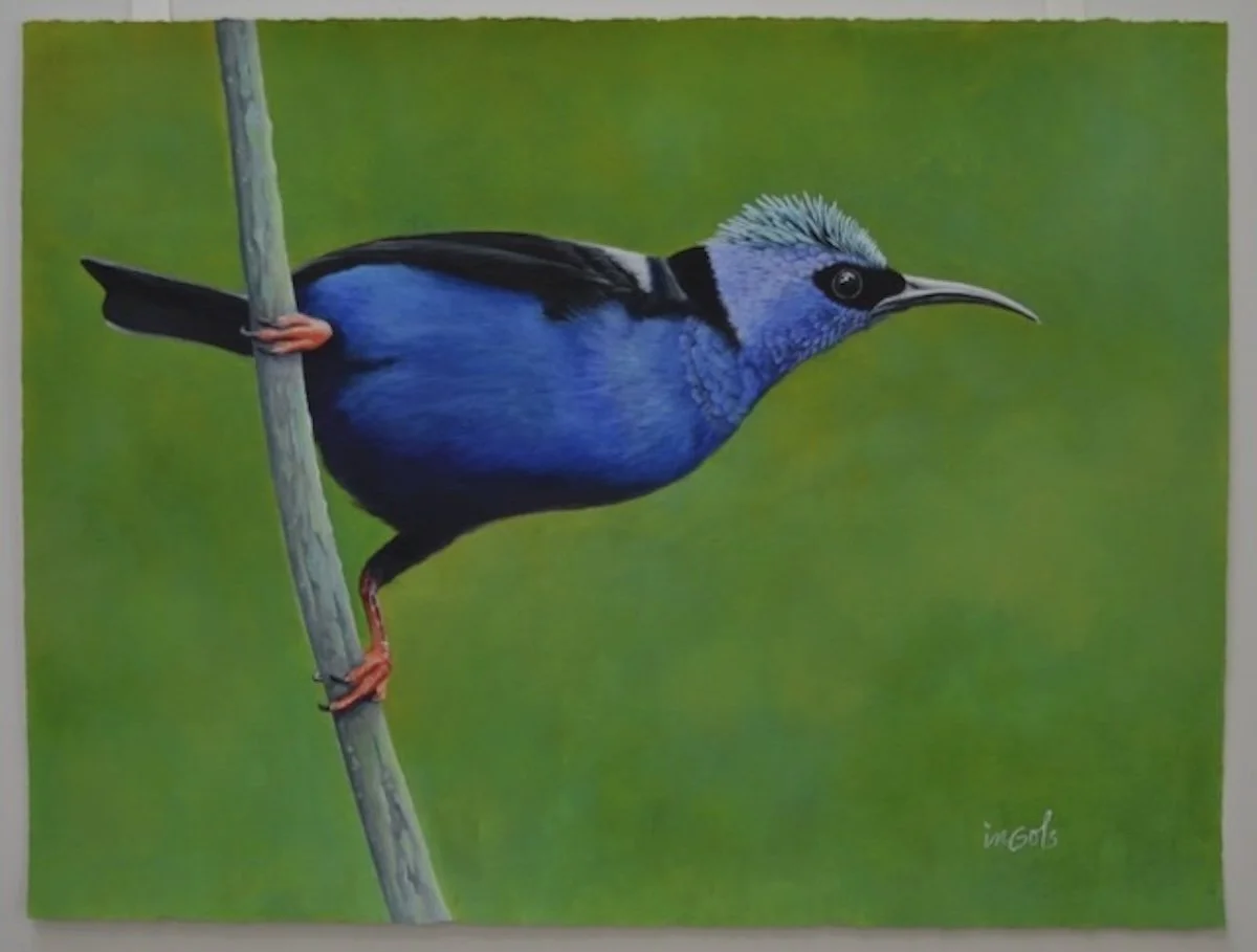 Leaning In, 27.5x35 framed, Jane Ingols Art