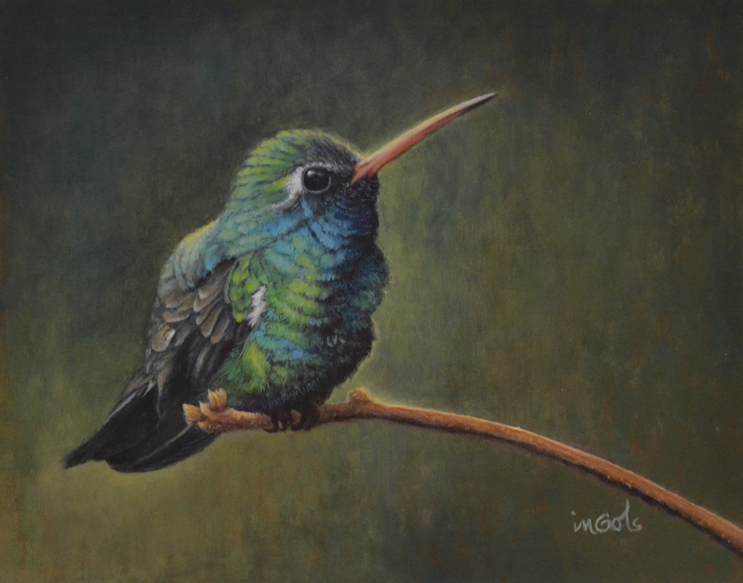 A  Perched Jewel, 9x11 framed, Jane Ingols Art